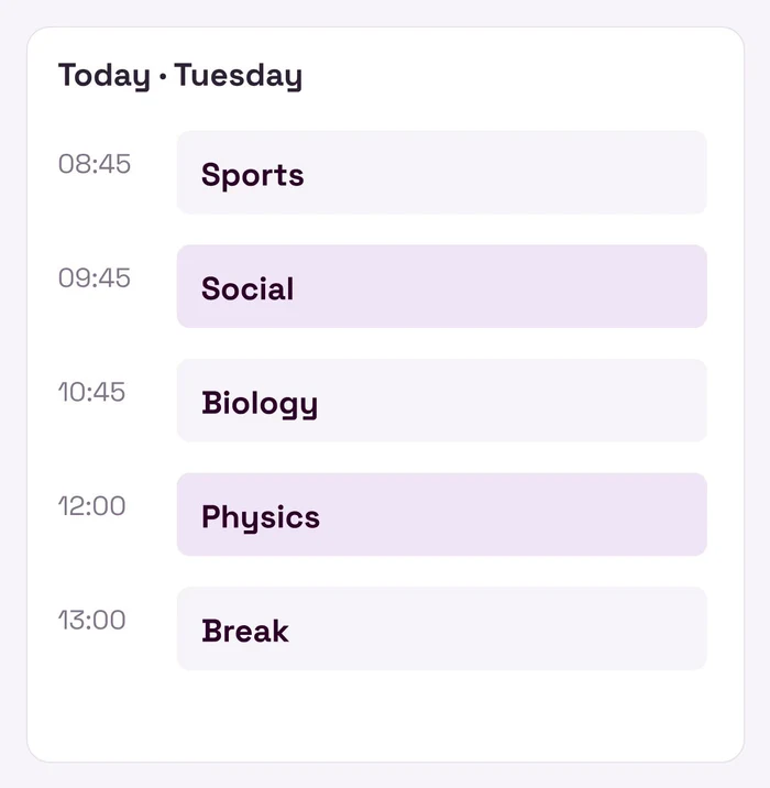 Student daily timetable